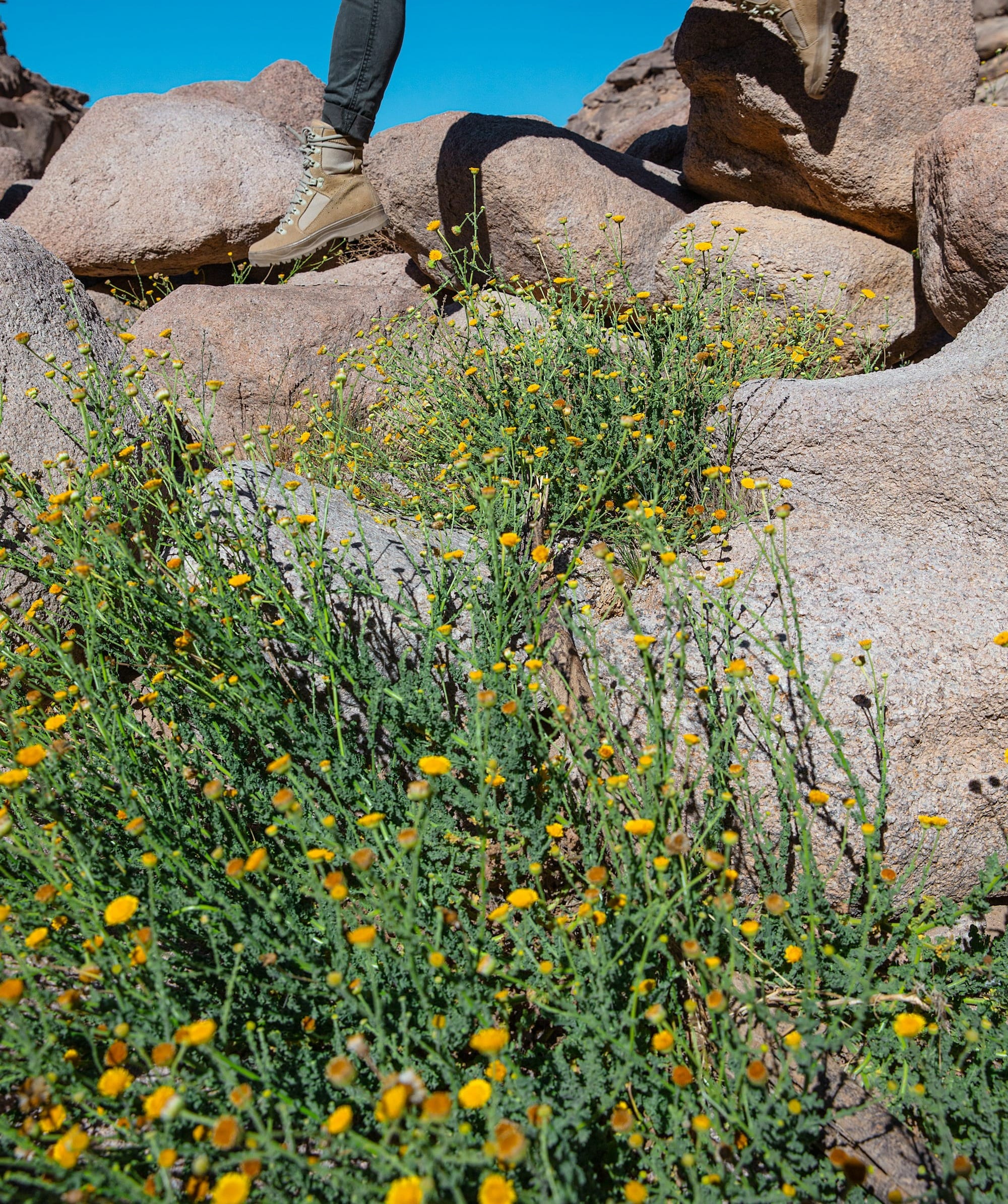 a man with a backpack is running on rocks