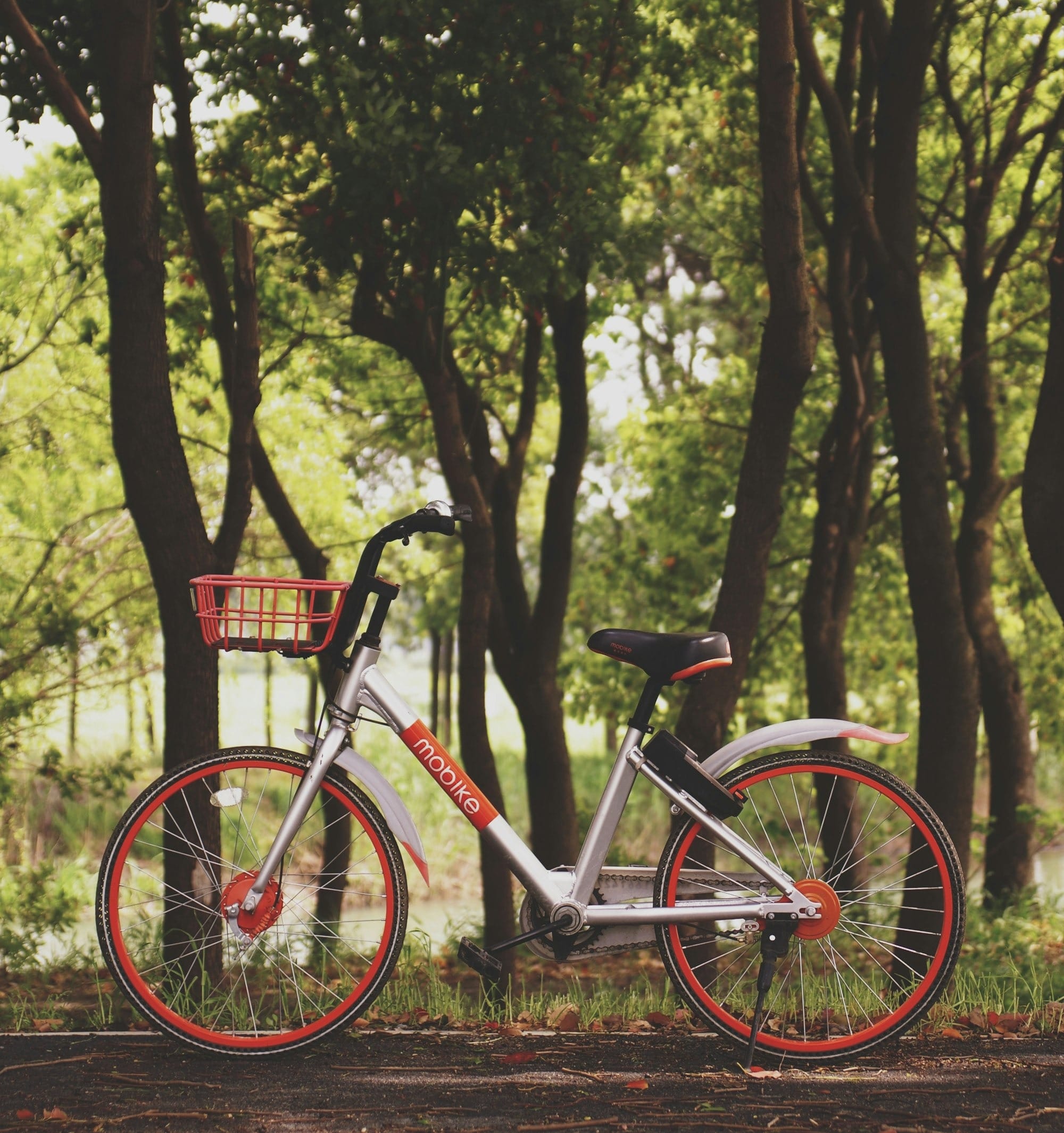 photography of bike parked near trees