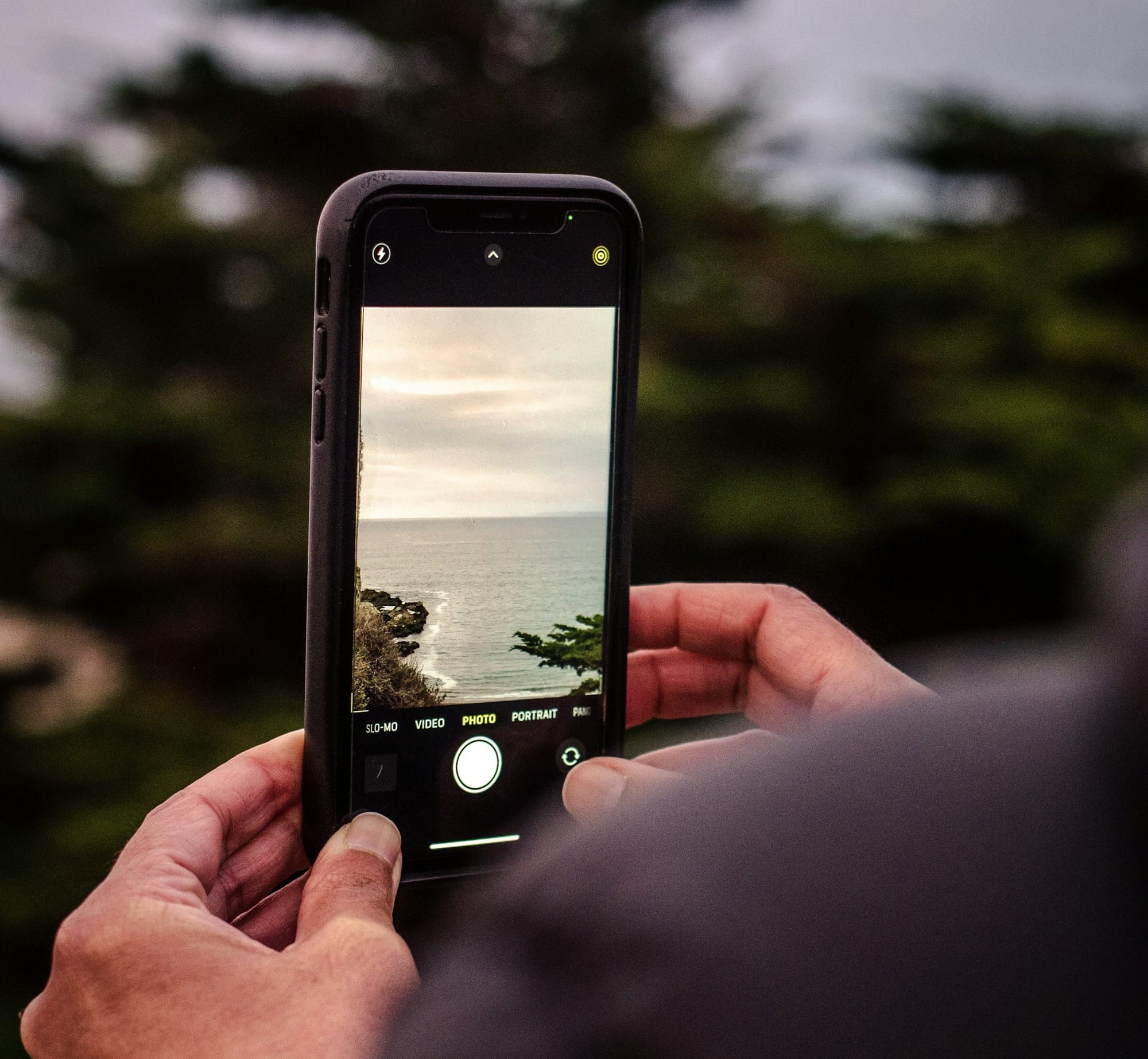 person holding iphone taking photo of trees during daytime