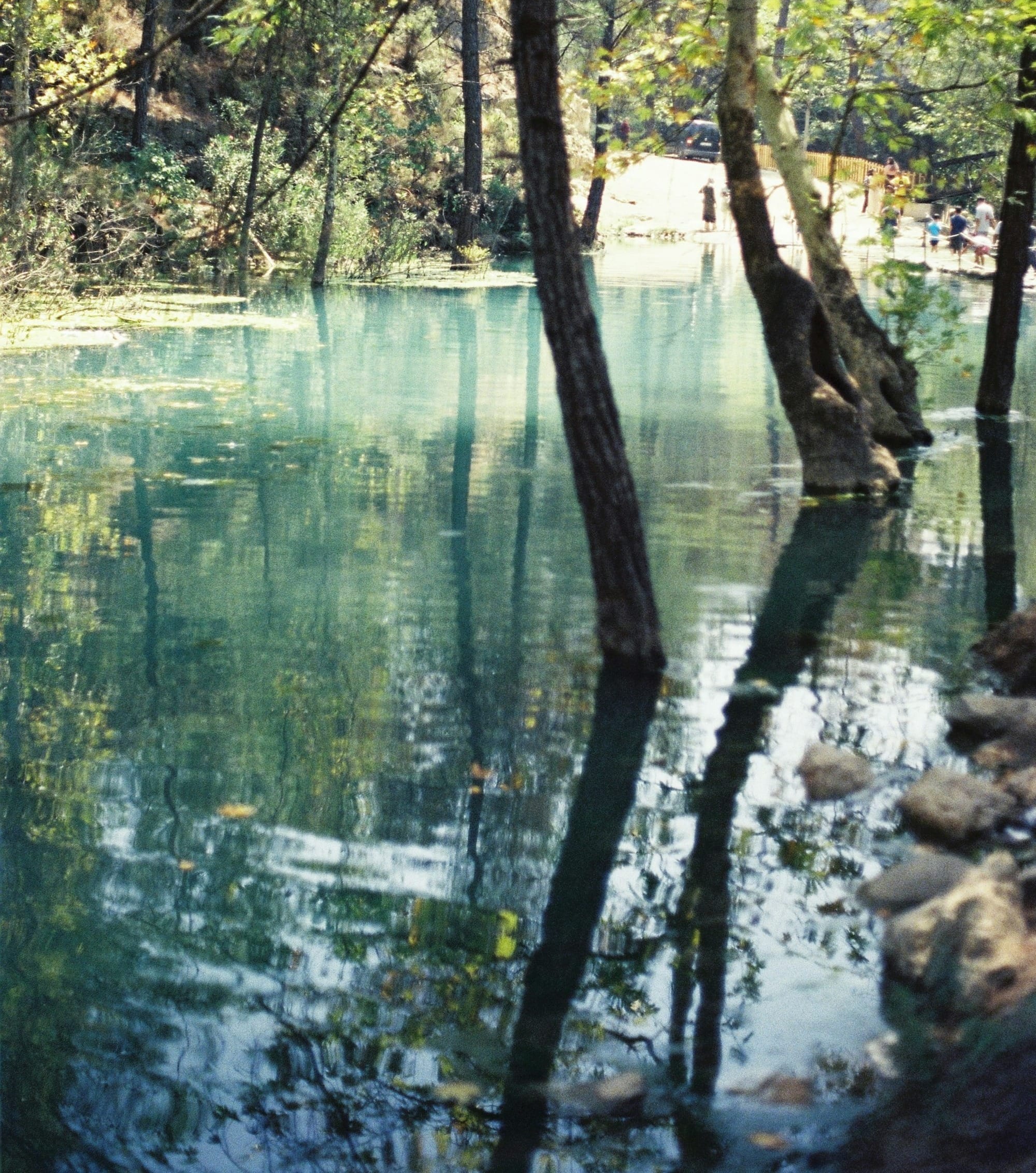 a body of water surrounded by trees and rocks